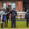 ballinahulla stables 的头像
