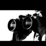 the Watcher profil fotoฤrafฤฑ