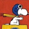 Cheesehead Snoopy 🇺🇲🇳🇿🇨🇦🇭🇲🇬🇧🇮🇱's profile picture