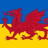 Profilbild von Man in the stryd 🏴󠁧󠁢󠁷󠁬󠁳󠁿🇺🇦 #FBPE