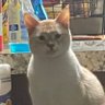 Matthew Garris profil fotoğrafı