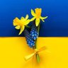 I Read Banned Books 🇺🇸🌻 🇺🇦🇮🇩 Moderna⁵/Mask²'s profile picture
