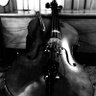 Celloking 🎶's profile picture
