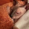 Ольга profil fotoğrafı