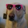 tj's profile picture