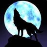 世界人权监督's profile picture