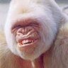 Profilbild von Frankie