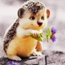 Eydan Zona's profile picture