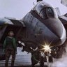 Tomcat's profile picture