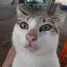 นุน้อลนมสด's profile picture