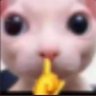 Profilbild von RolonComuna