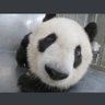 ❤ 的头像