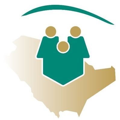 NFSP1's profile picture