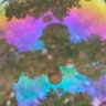 Фото профиля Dusty_Tweet