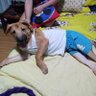 Фото профиля Coochiecooch