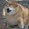 Pan Banosh's profile picture