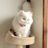 เฟย์ profil fotoğrafı