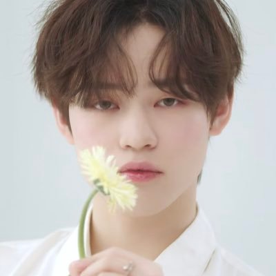 кн시루's profile picture