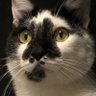 ヨセフ profil fotoğrafı