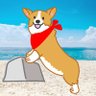 我が家の、らいぞう's profile picture