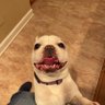 Michelle Houska's profile picture