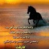 Profilbild von حنان الدهام 🇸🇦 أحذر تسيئ لوطني