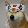 Profilbild von Mike_japa