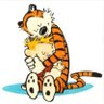 Telma Ferreira's profile picture