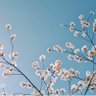 光の座標 profil fotoğrafı