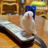 りょう@🌏️'s profile picture