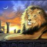 Iluminado profil fotoğrafı
