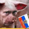 Ilya Shmuylovich ⬜️🟦⬜️🇮🇱🇺🇦🇺🇸 的头像