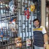 Mahesh Engineer profil fotoğrafı