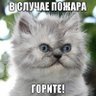 Michael Tishen's profile picture