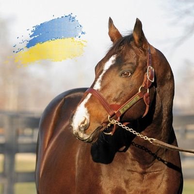 @haraspaumar's profile picture