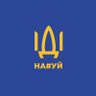 💙💛 🇮🇱 Kosta V's profile picture