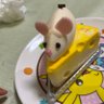 Profilbild von おめ