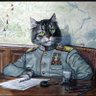 Profilbild von Anonymous Cat
