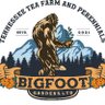 Bigfoot Gardens, LTD profil fotoğrafı