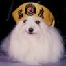 Profilbild von 櫻井宏充@ライター&カメラマン&インタビュアー(海外ドラマ・映画・演劇)時々海外ドラマの日本語版監修