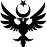 Sami Temur 的头像