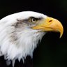 alitaki💯 profil fotoğrafı
