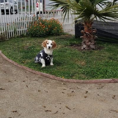 🐶🐹🐼❤TODOS !!!'s profile picture