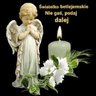 Profilbild von Zoia