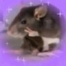 alejandro's profile picture