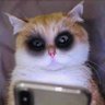 Profilbild von งุงิ..อุอิ