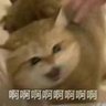Фото профиля 吖 破釜不会心