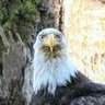Climate Watcher ๐ฅ's profile picture