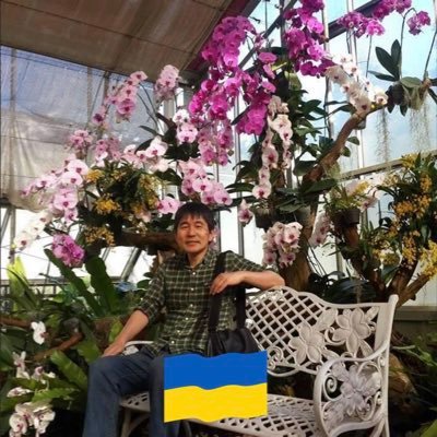 shin_eikai's profile picture