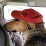 Шутки в сторону!'s profile picture
